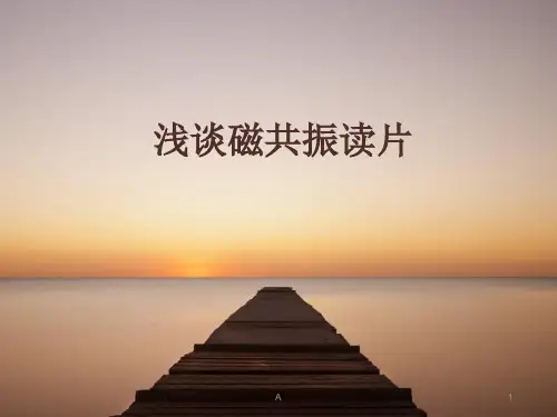 浅谈磁共振读片