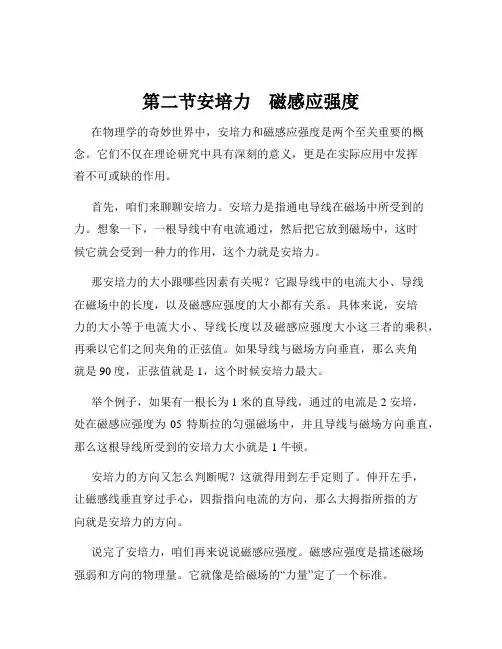 第二节安培力 磁感应强度