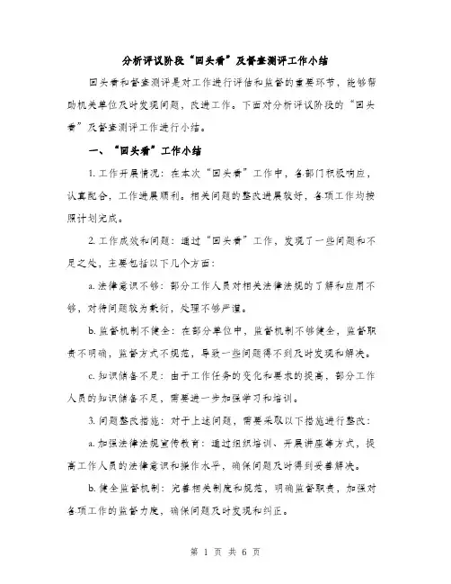 分析评议阶段“回头看”及督查测评工作小结（2篇）