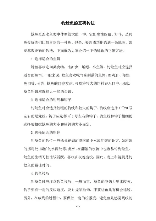 钓鲶鱼的正确钓法