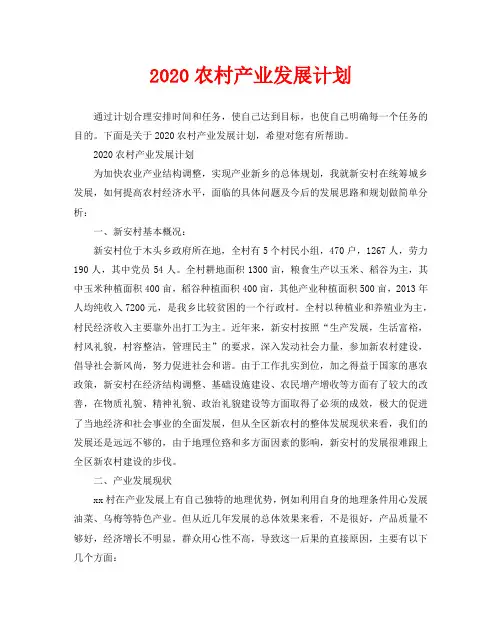 2020农村产业发展计划
