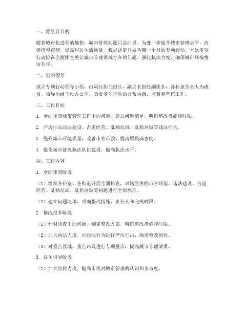 城管局专项行动方案