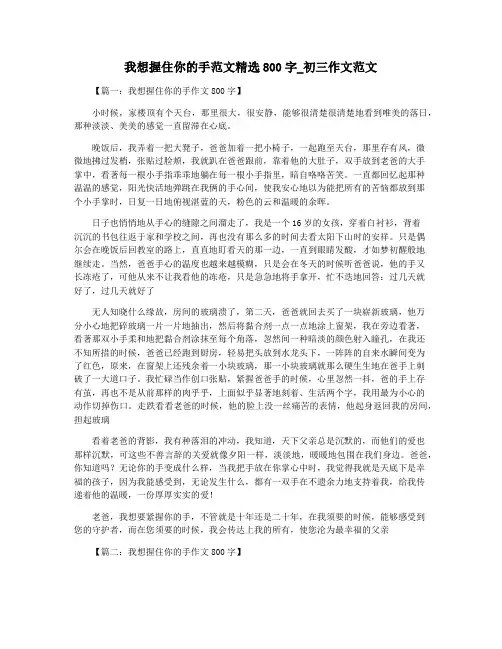 我想握住你的手范文精选800字_初三作文范文