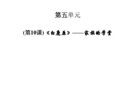 白鹿原课件