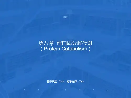 生物化学蛋白质分解代谢