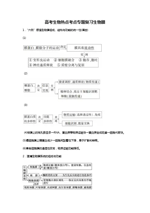 人教版高考生物考点专题复习生物膜