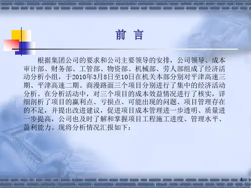 XX项目经济活动分析模板.pptx
