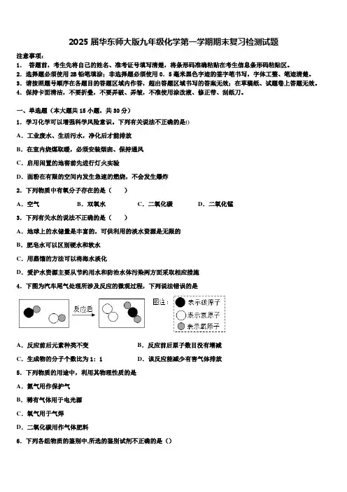 2025届华东师大版九年级化学第一学期期末复习检测试题含解析