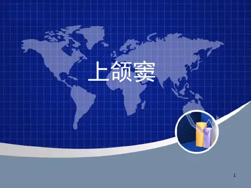 上颌窦PPT课件