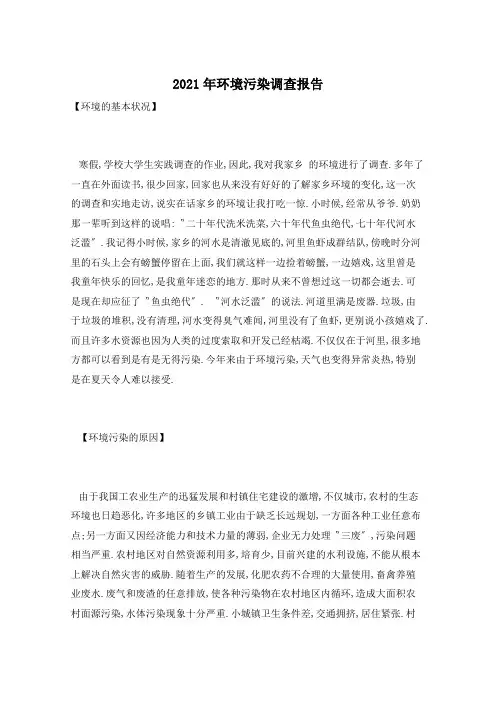 2021年环境污染调查报告