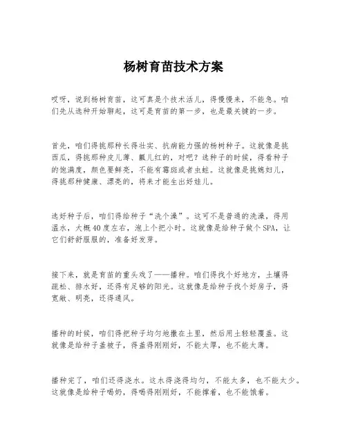 杨树育苗技术方案