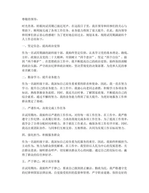 试用期满副科个人工作总结