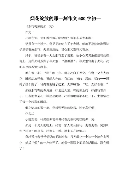 烟花绽放的那一刻作文600字初一