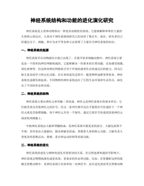 神经系统结构和功能的进化演化研究