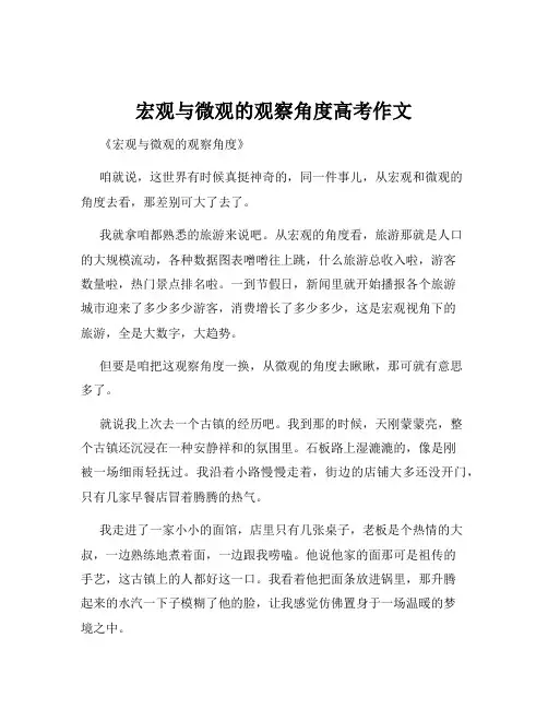 宏观与微观的观察角度高考作文