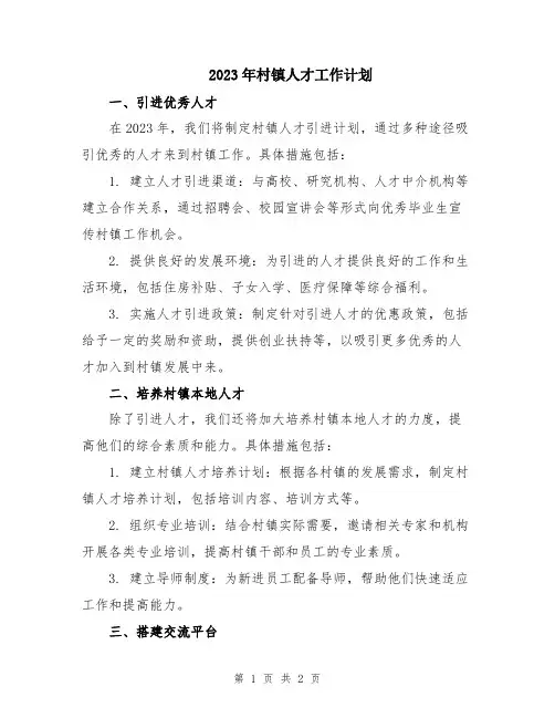 2023年村镇人才工作计划