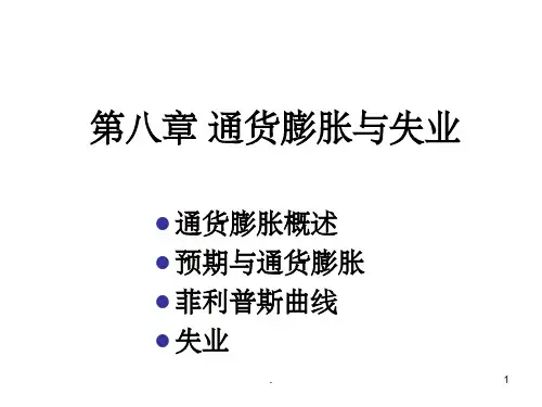 第八章--通货膨胀与失业ppt课件