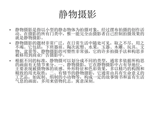 静物摄影.ppt