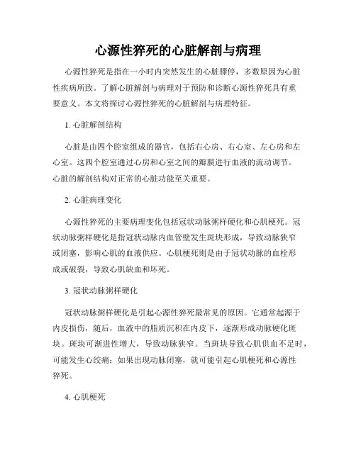 心源性猝死的心脏解剖与病理