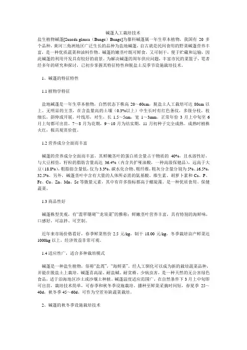 碱蓬人工栽培技术