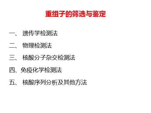 重组子的筛选与鉴定