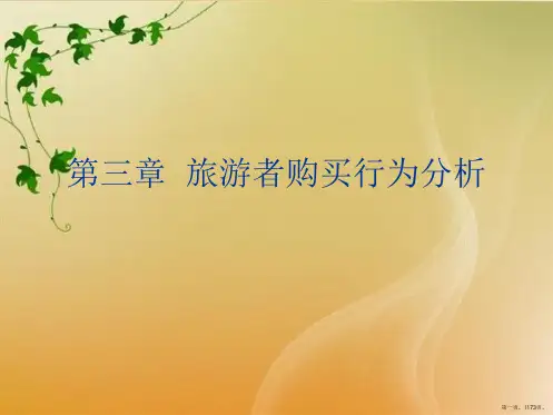 第三章  旅游者购买行为分析