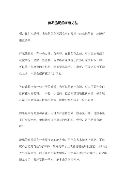荷花施肥的正确方法