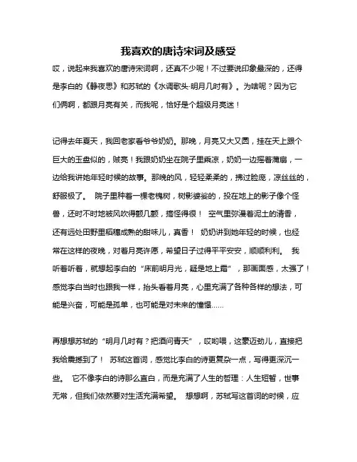 作文《我喜欢的唐诗宋词及感受》