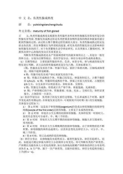 鱼类性腺成熟度