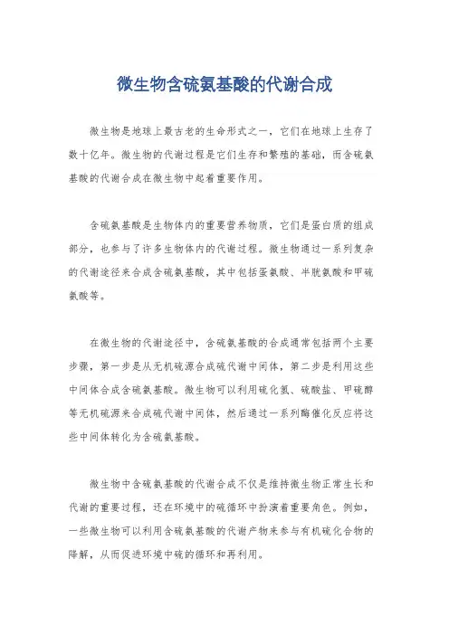微生物含硫氨基酸的代谢合成