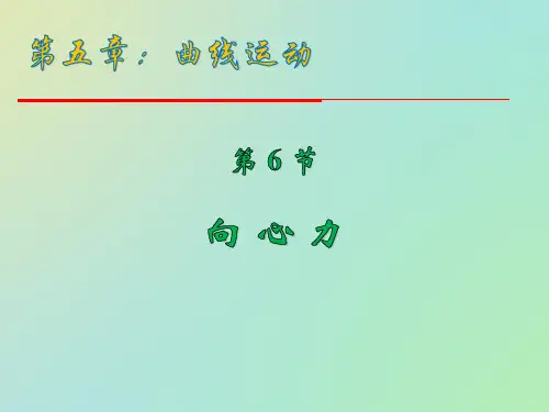 高中物理必修二5.6 向心力
