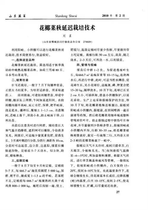 花椰菜秋延迟栽培技术