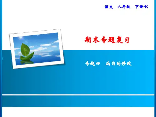 人教部编版九年级语文上册专题4 病句的修改