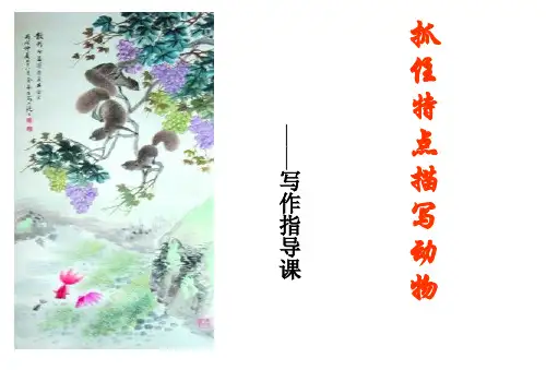 作文指导——抓住特点描写动物