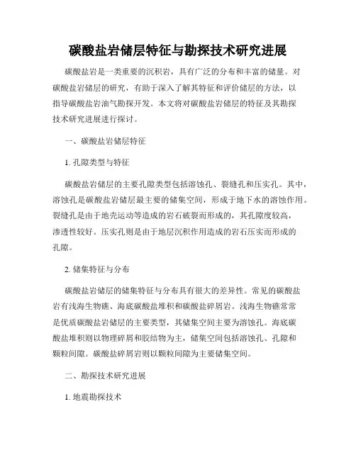 碳酸盐岩储层特征与勘探技术研究进展
