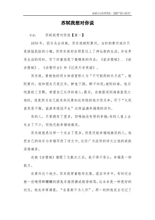 苏轼我想对你说