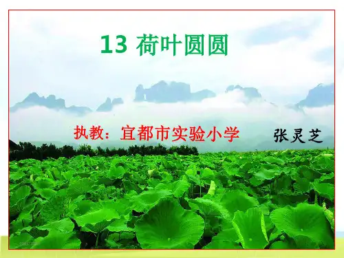 新版一年级下册-13,荷叶圆圆 (共24张PPT) 人教部编版