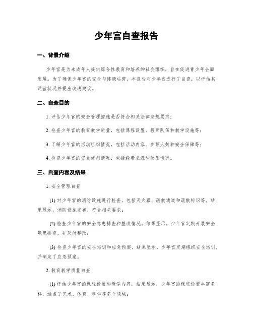 少年宫自查报告