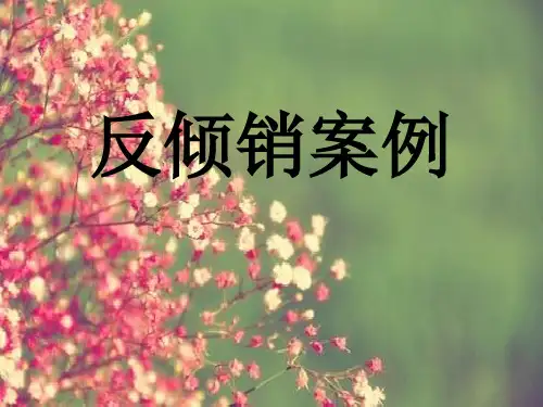 反倾销案例