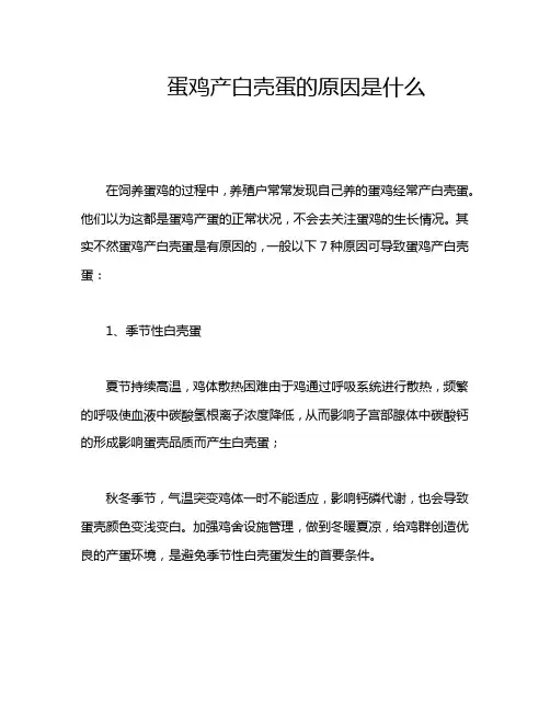 蛋鸡产白壳蛋的原因是什么
