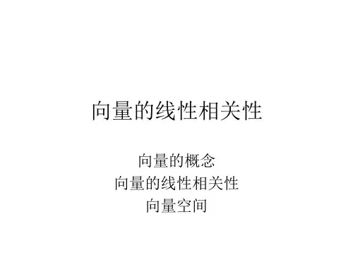 向量的线性相关性
