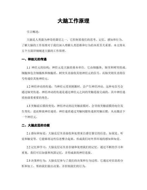 大脑工作原理