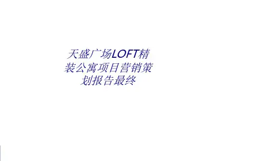 天盛广场LOFT精装公寓项目营销策划报告最终专题培训课件