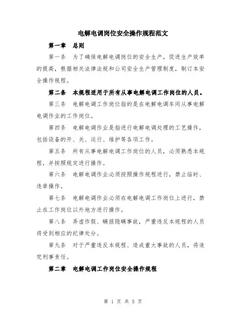 电解电调岗位安全操作规程范文