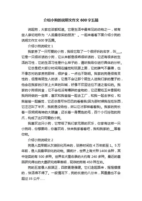 介绍小狗的说明文作文600字五篇