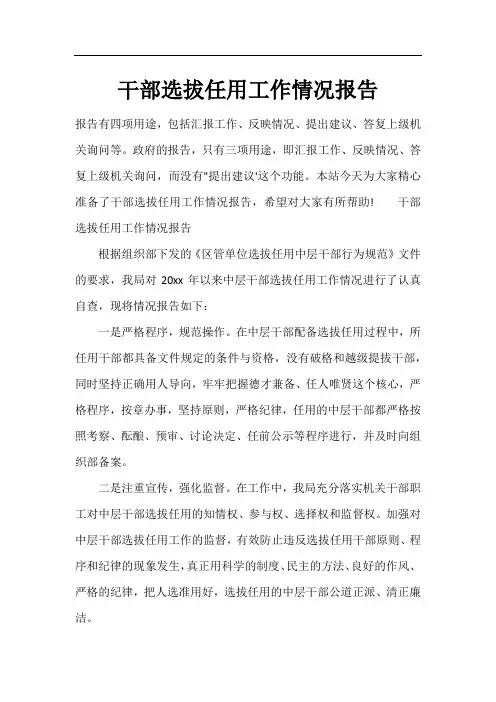 干部选拔任用工作情况报告