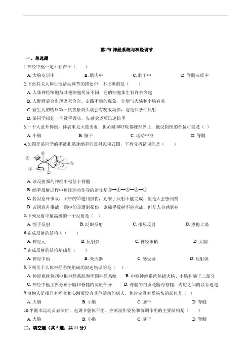七年级生物下册《神经系统与神经调节》同步测试