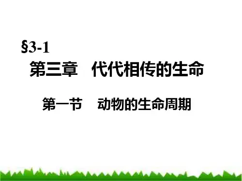 第一节动物的生命周期PPT课件