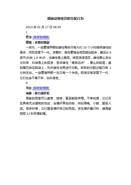 揭秘动物怪异的交配行为