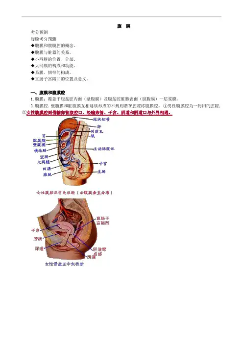 腹膜解剖考点总结